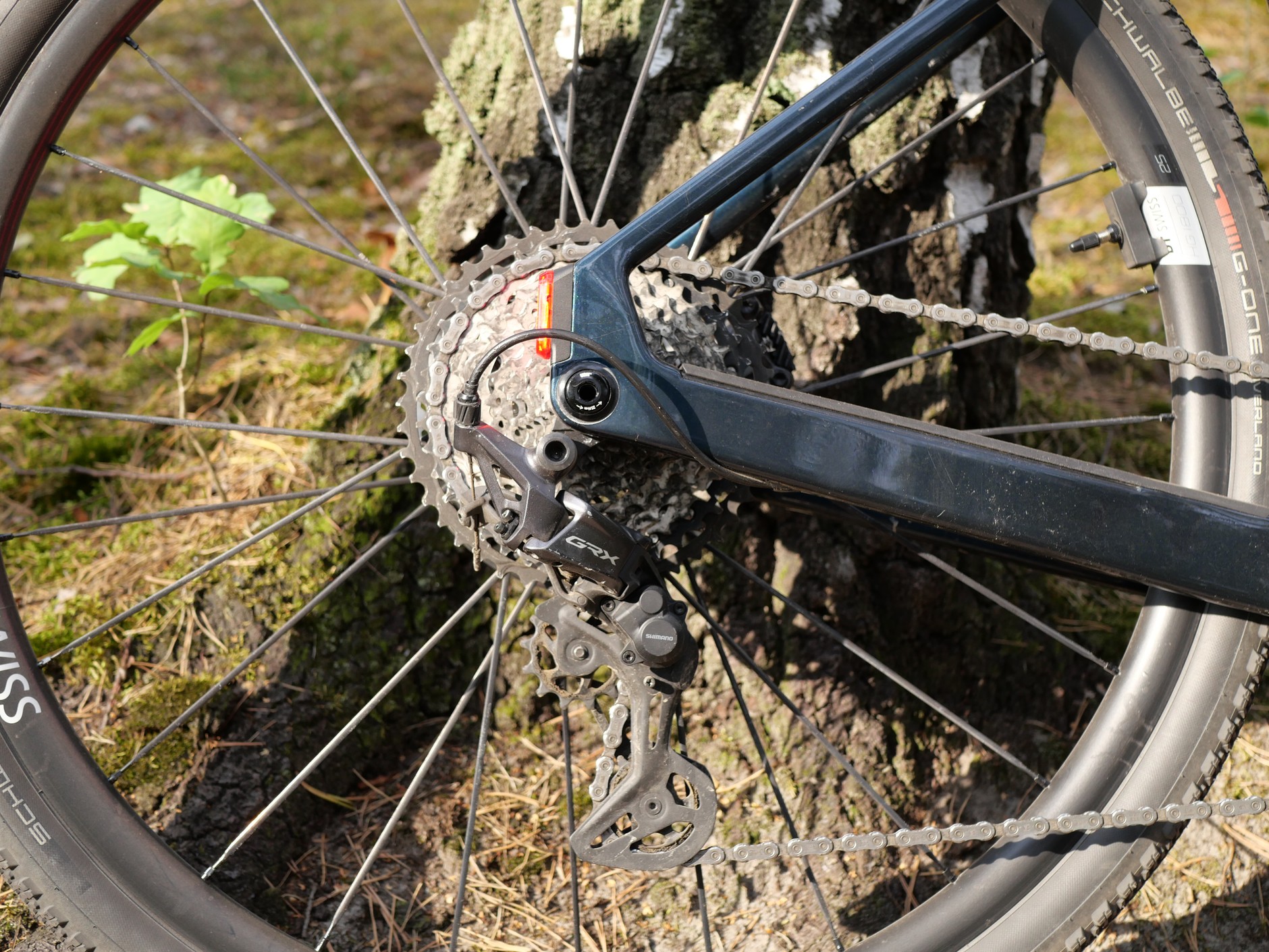 Canyon Grizl:ON CF 7