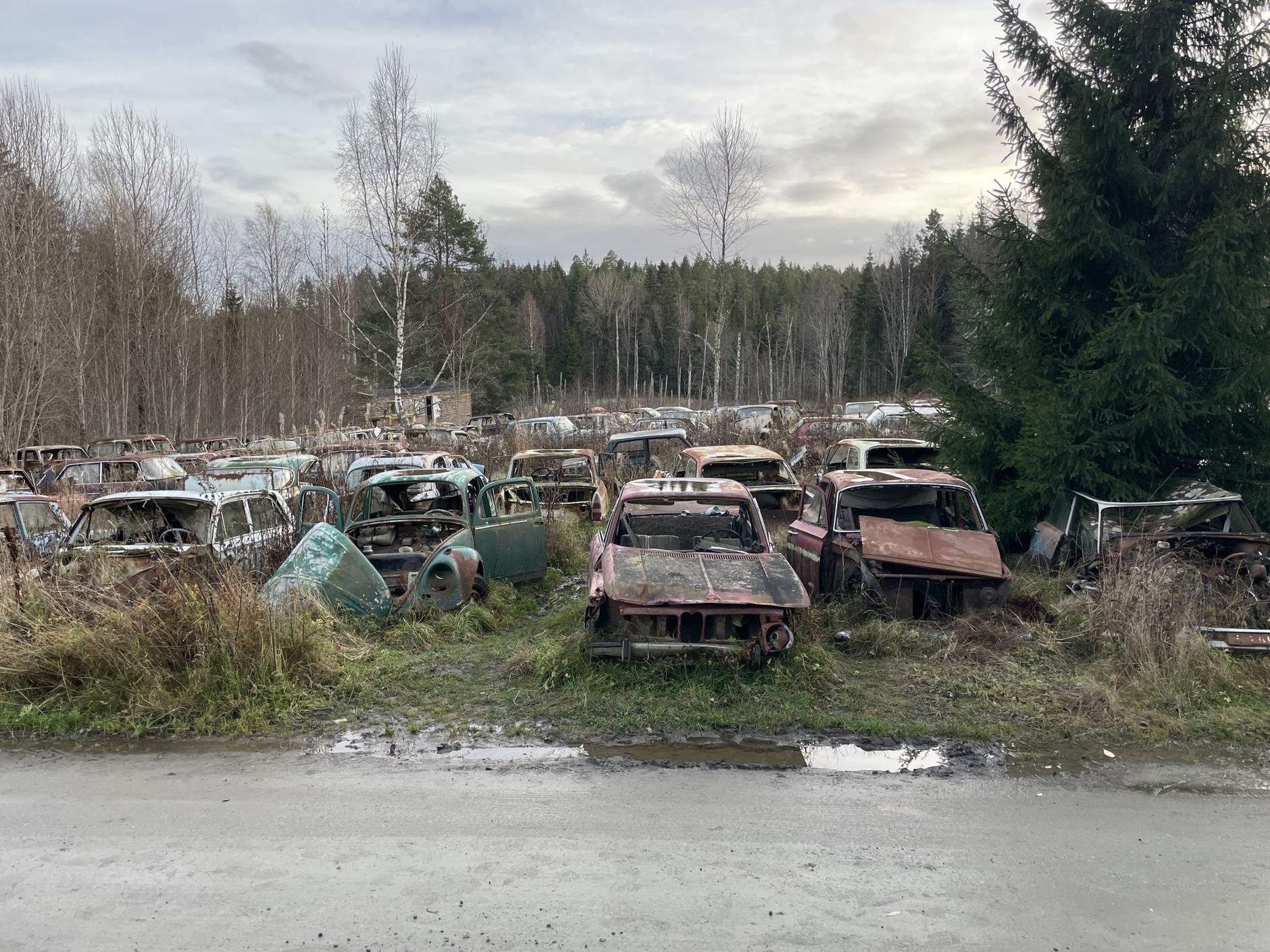 Cmentarzysko samochodów w Bastnas w Szwecji
