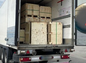Schował kradziony "towar" za pustymi paletami. Celnicy od razu wezwali policję