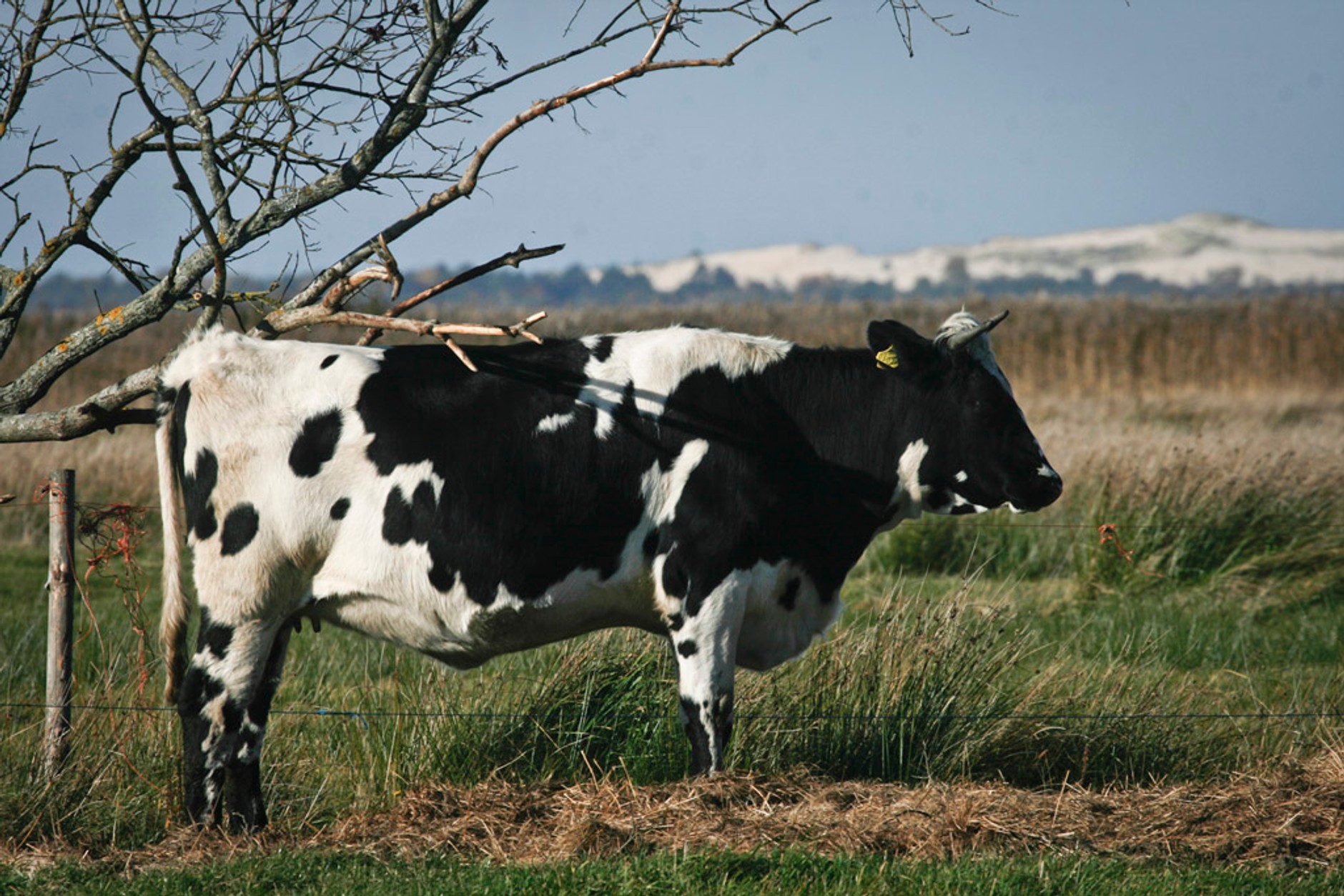 Skodą Yeti i rowerem wzdłuż wybrzeża