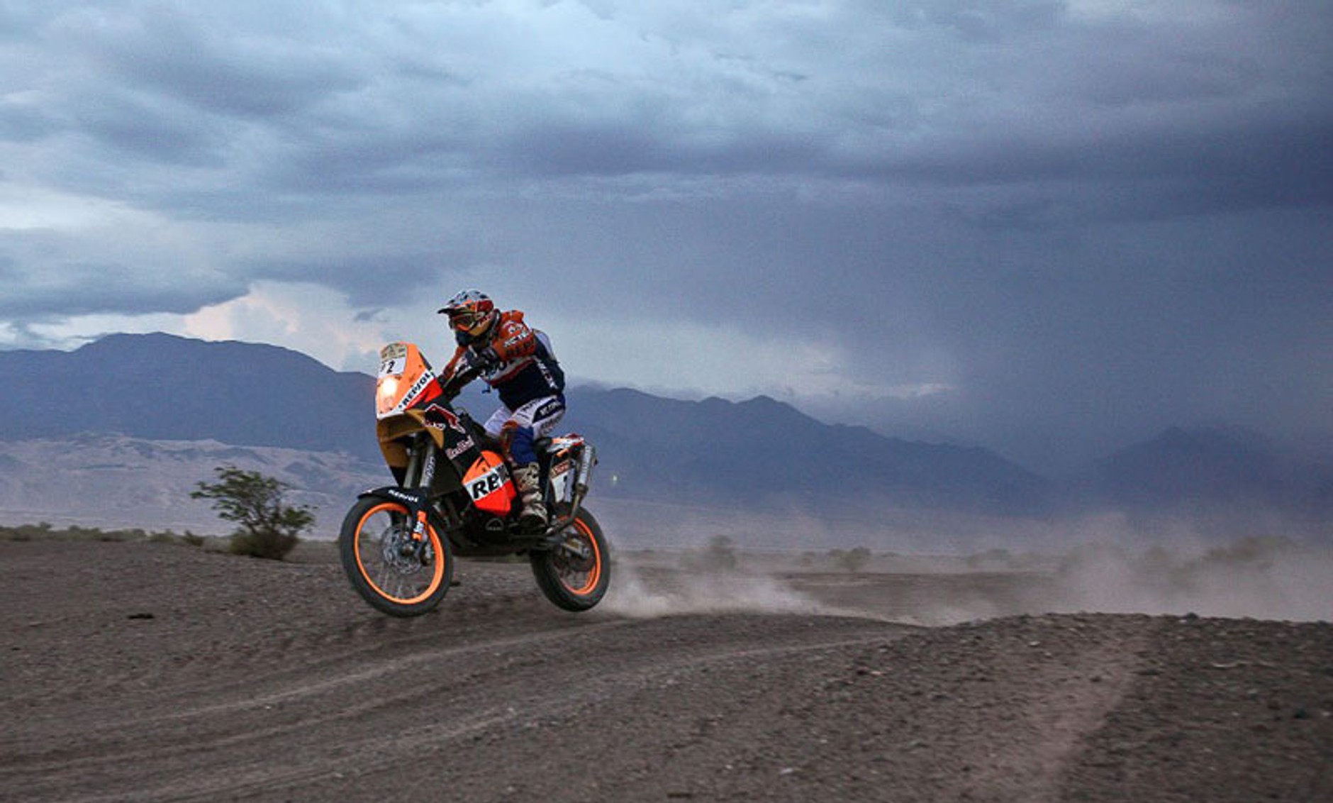 Rajd Dakar 2009: radość na mecie (fotogaleria 3.)