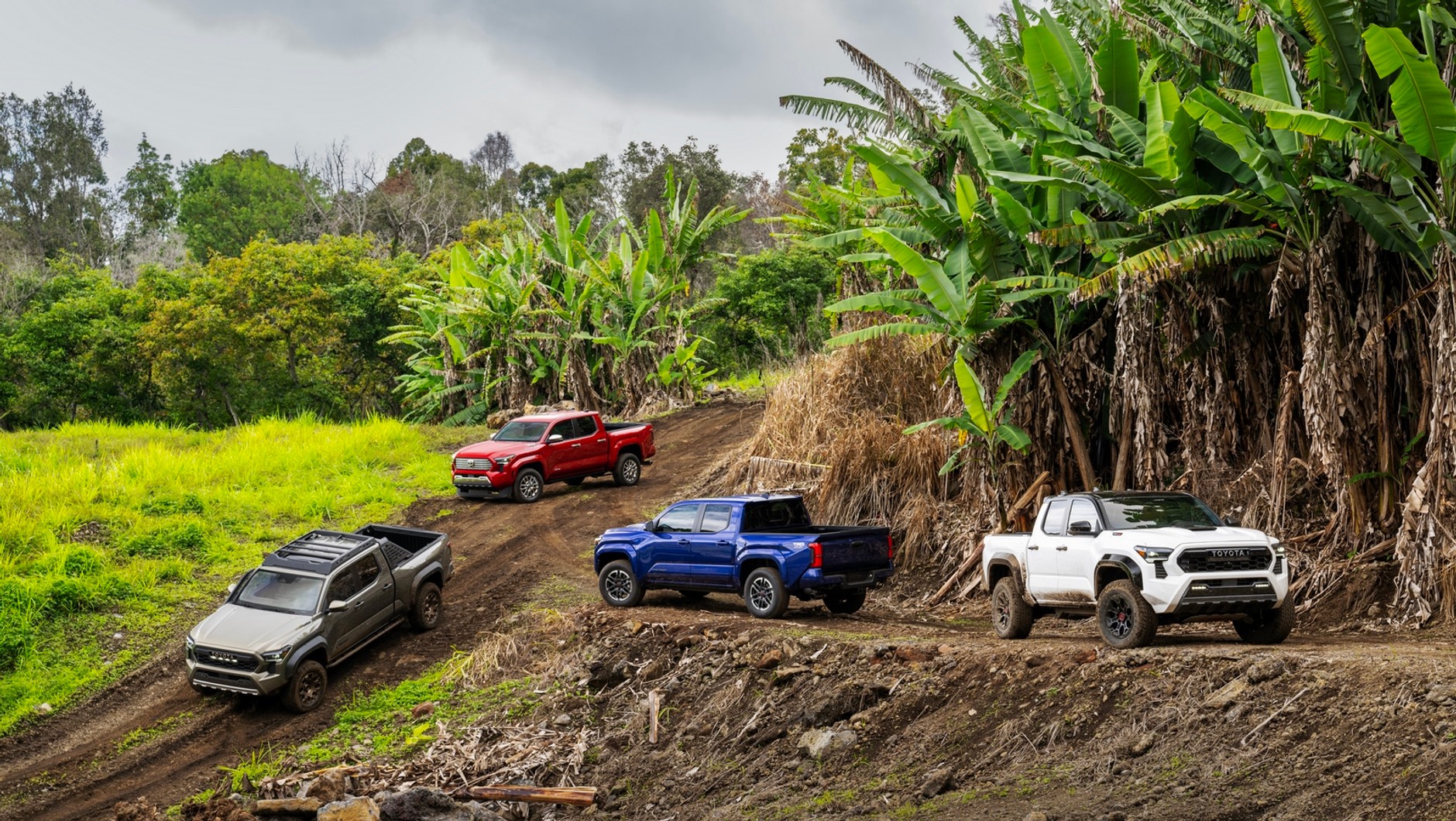 Toyota Tacoma (2024)