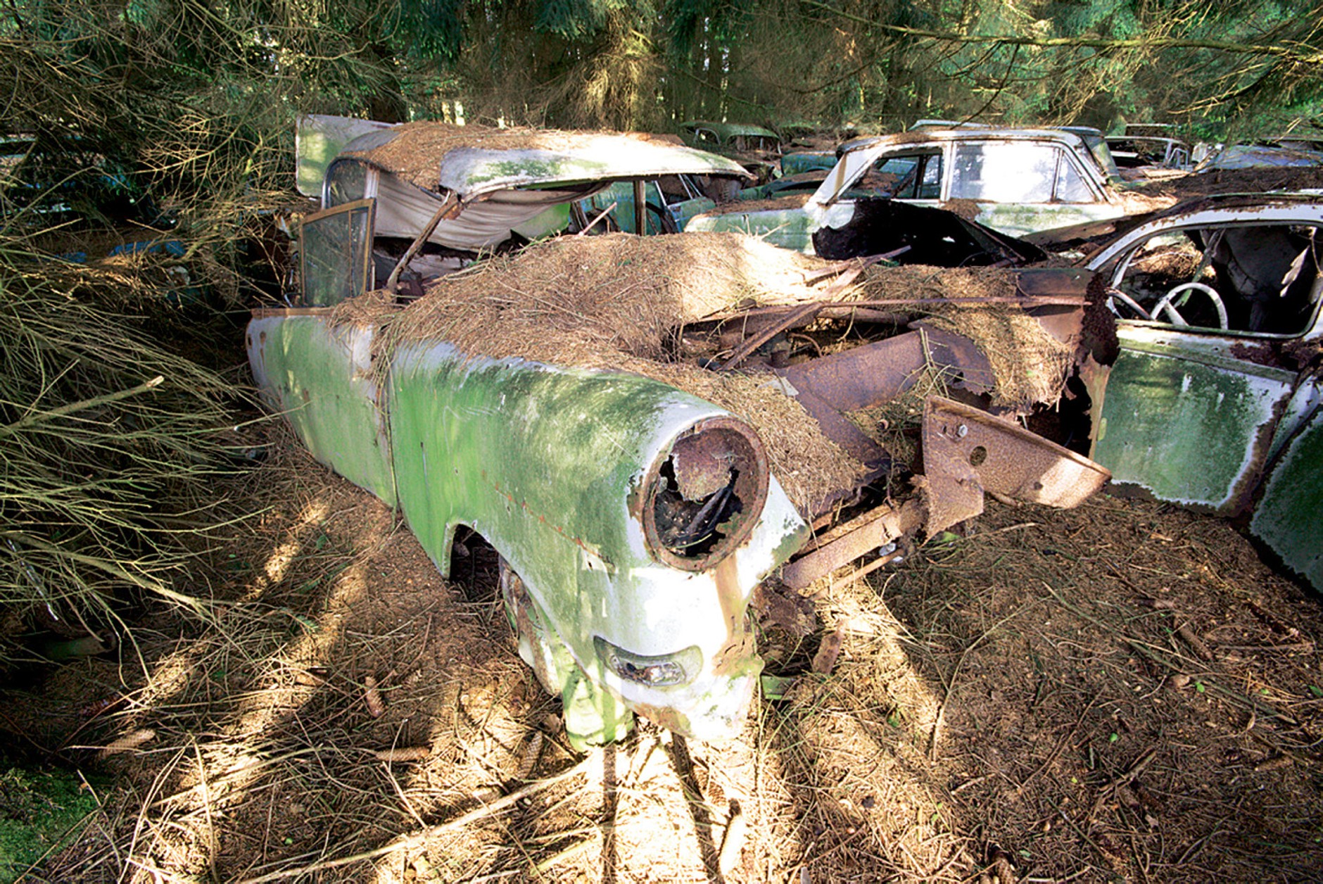 Cmentarzysko aut Niemcy