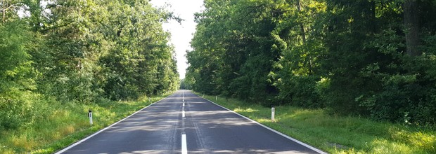 Efekt zebry to powszechne zjawisko podczas jazdy. Kierowcy muszą go poznać