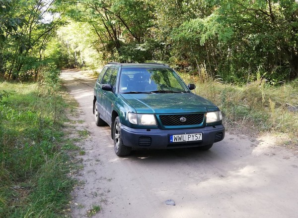Do lasu na grzyby samochodem albo rowerem? Są zasady, są i wyjątki – wyjaśniamy