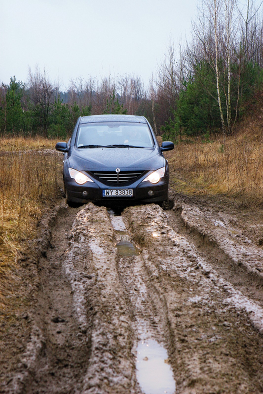 Kia Sportage, Nissan Navara, SsangYong Acyon - Księgowy rządzi!