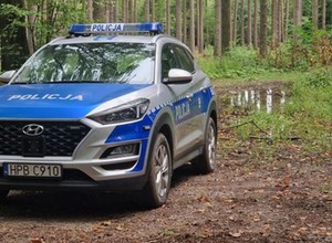 Czy można pojechać samochodem na grzyby? W lesie czekają mandaty