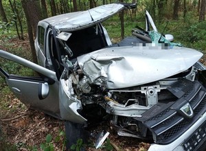 Tak wygląda auto osobowe po zderzeniu z łosiem. Uważaj szczególnie teraz