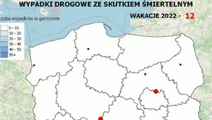 12 zabitych od początku wakacji. Znowu działa policyjna mapa wypadków drogowych 