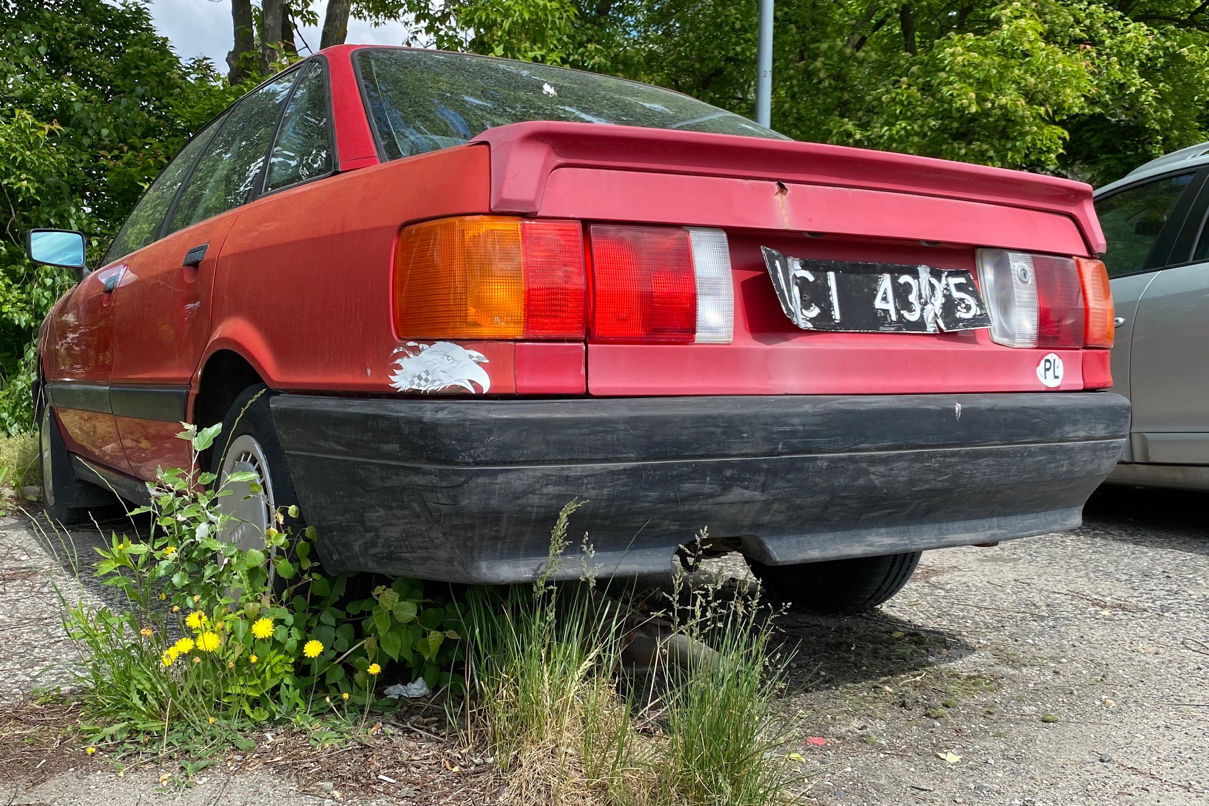 Czarne tablice rejestracyjne to białe kruki. Rozszyfrujesz je?