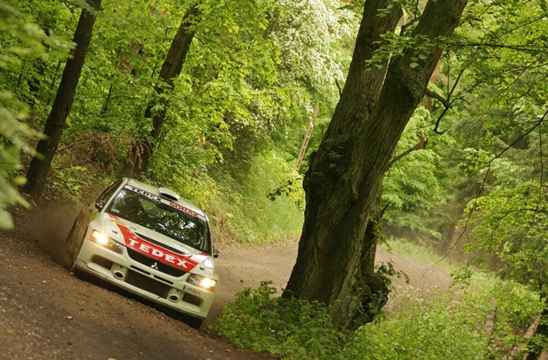 Rajd Agapit 2008: fotogaleria Dawida Konopki