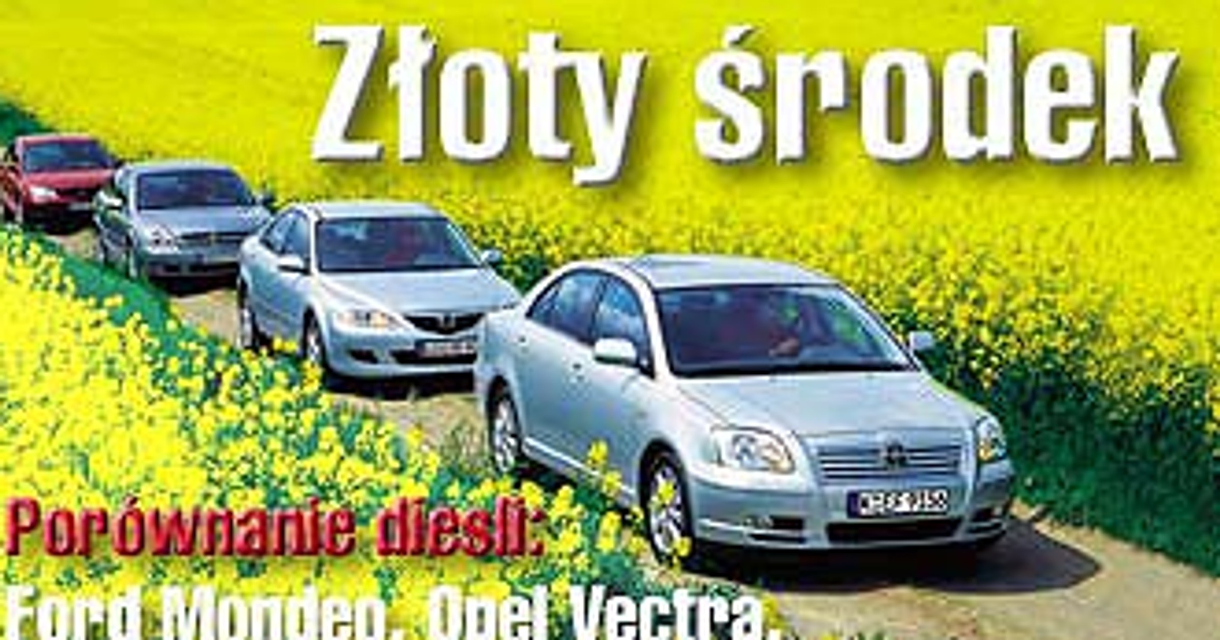 W poszukiwaniu złotego środka