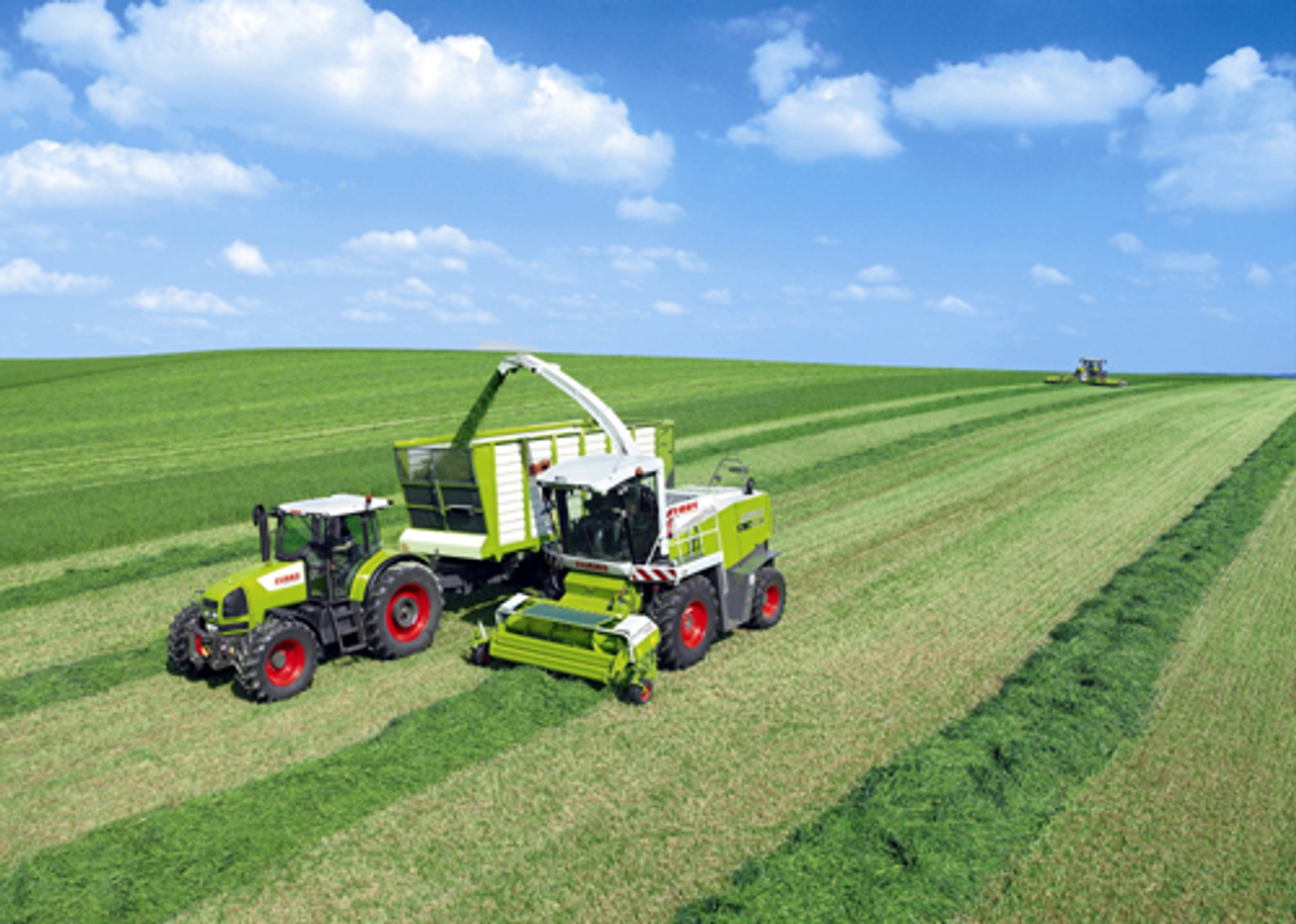 Biopaliwo jest już na naszych stacjach. Wyjaśniamy jakie auta mogą na nim jeździć