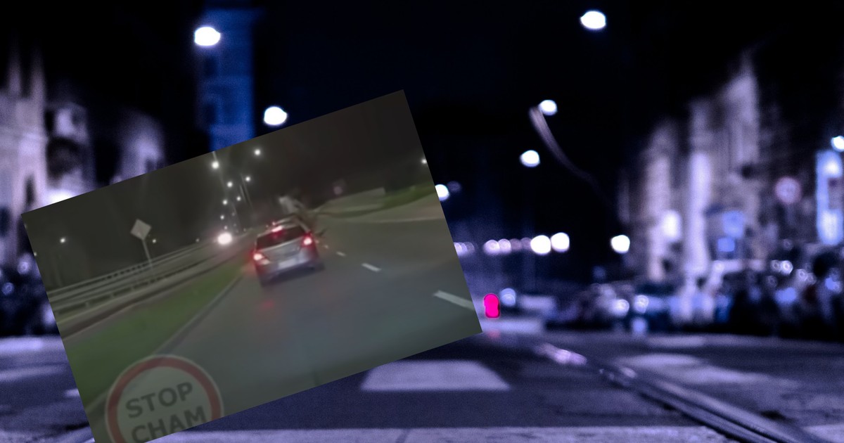 W Lublinie jeleń wpadł na samochód (screen: YouTube.com/stop cham)