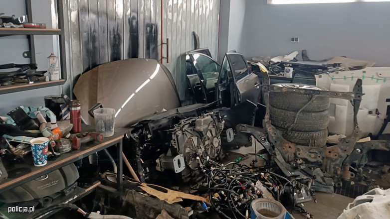 Policjanci znaleźli "dziuplę", a w niej towar o wartości niemal pół miliona zł