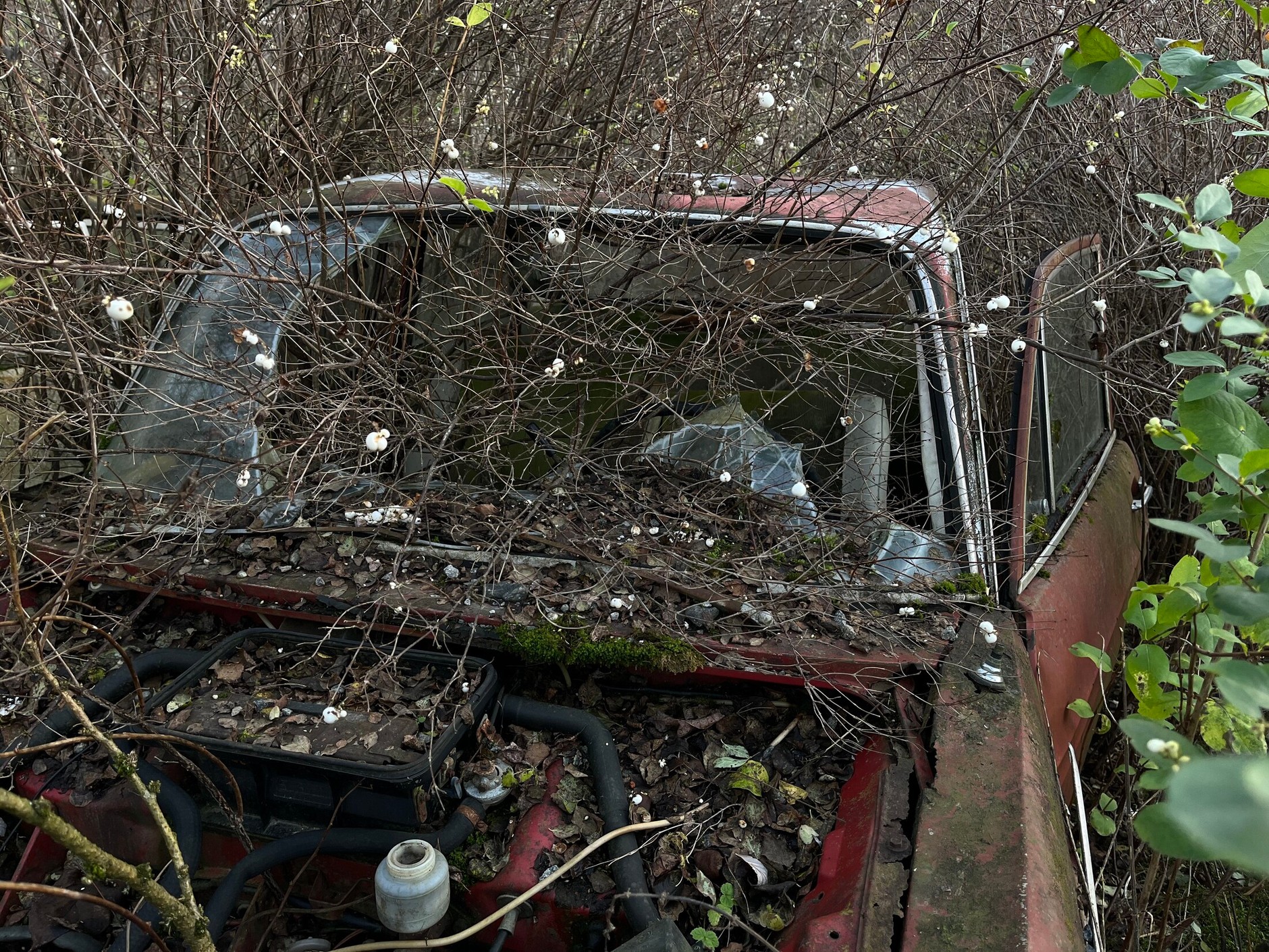Cmentarzysko samochodów w Bastnas w Szwecji