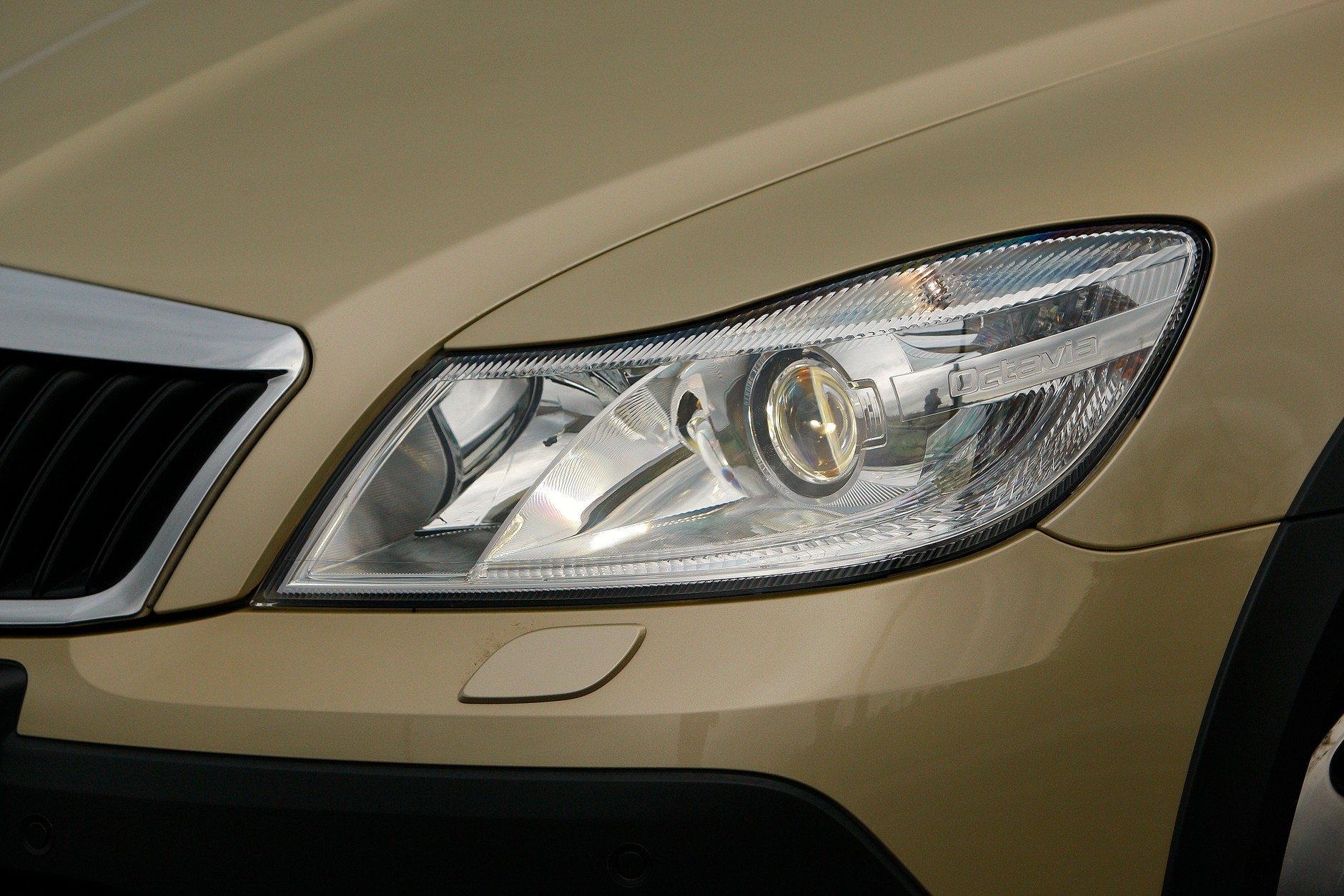 Czy ta Octavia jest dla skauta?