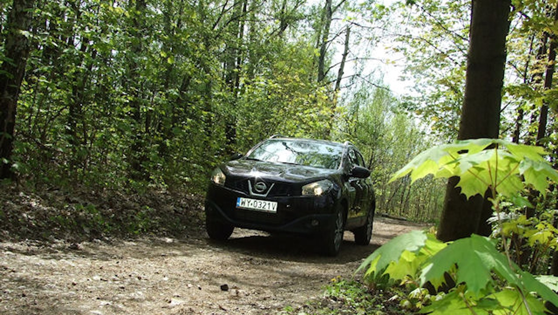 Nissan zaprezentował zmodernizowanego Qashqaia