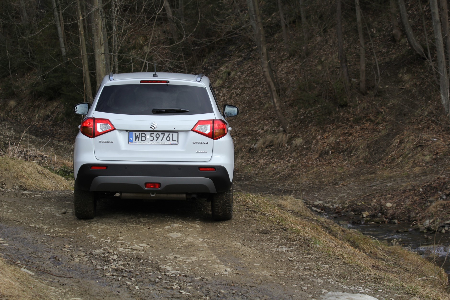 Suzuki Vitara S
