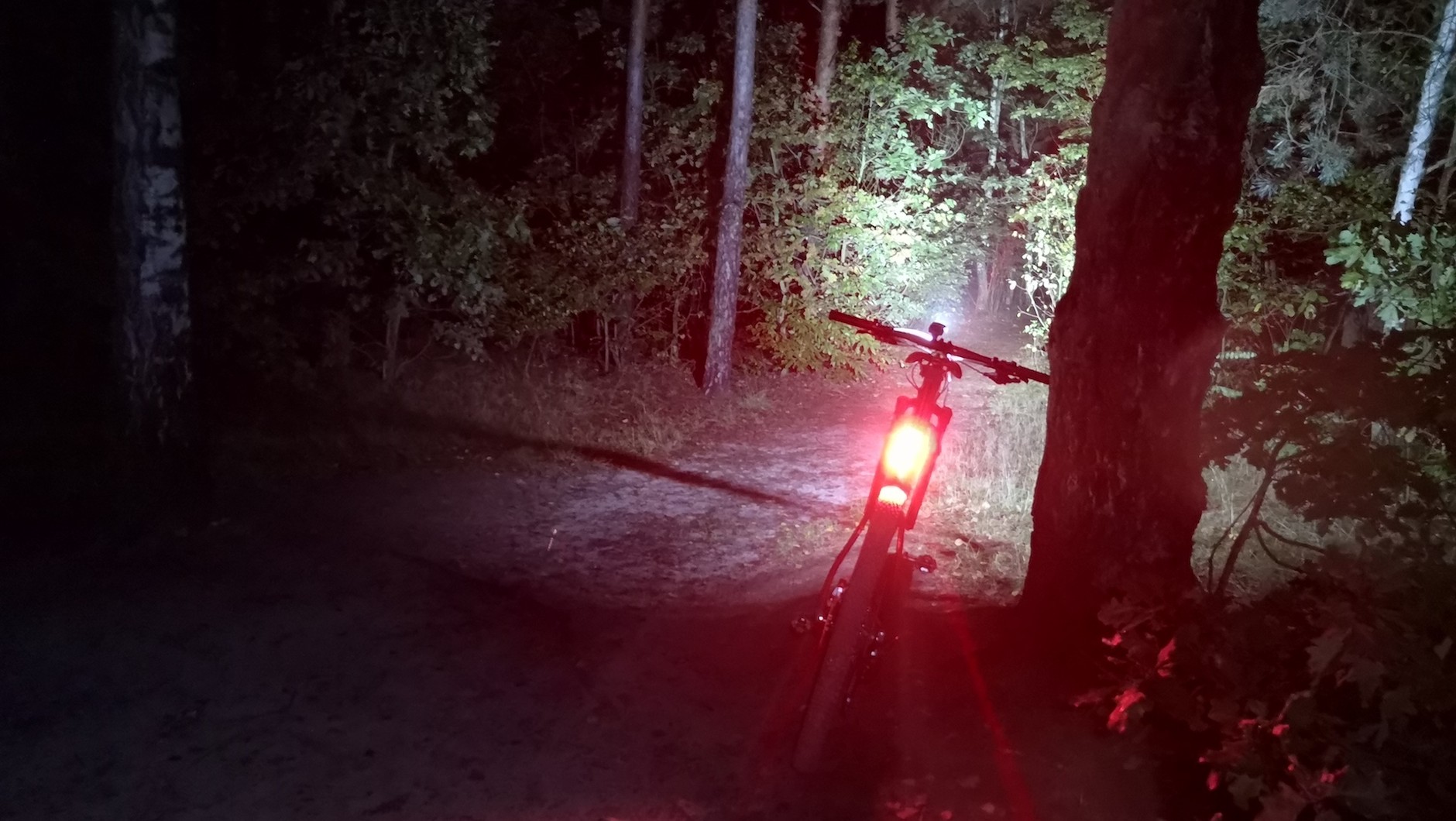 Tylna lampka o wysokiej mocy (na zdjęciu Knog Road R70) też potrafi oślepiać – w nocy dla bezpieczeństwa nadjeżdżających z tyłu  należy koniecznie wyłączyć tryb migania!