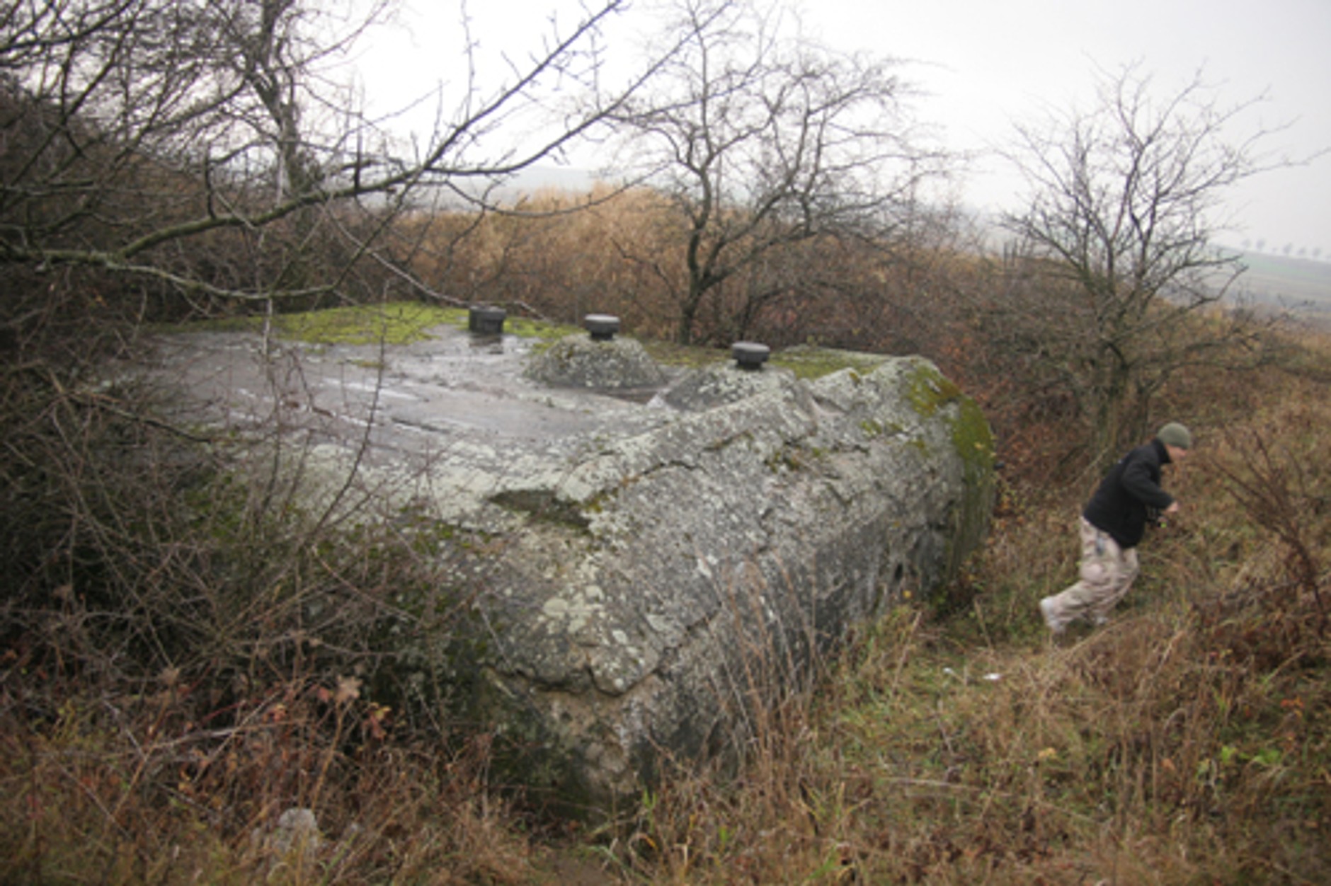 Jura Krakowsko-Częstochowska - Zamki i dużo piasku