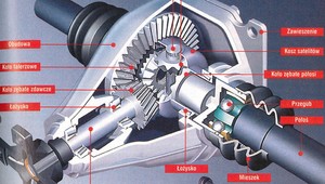 Mechanizm różnicowy - wszystko co chciałbyś o nim wiedzieć