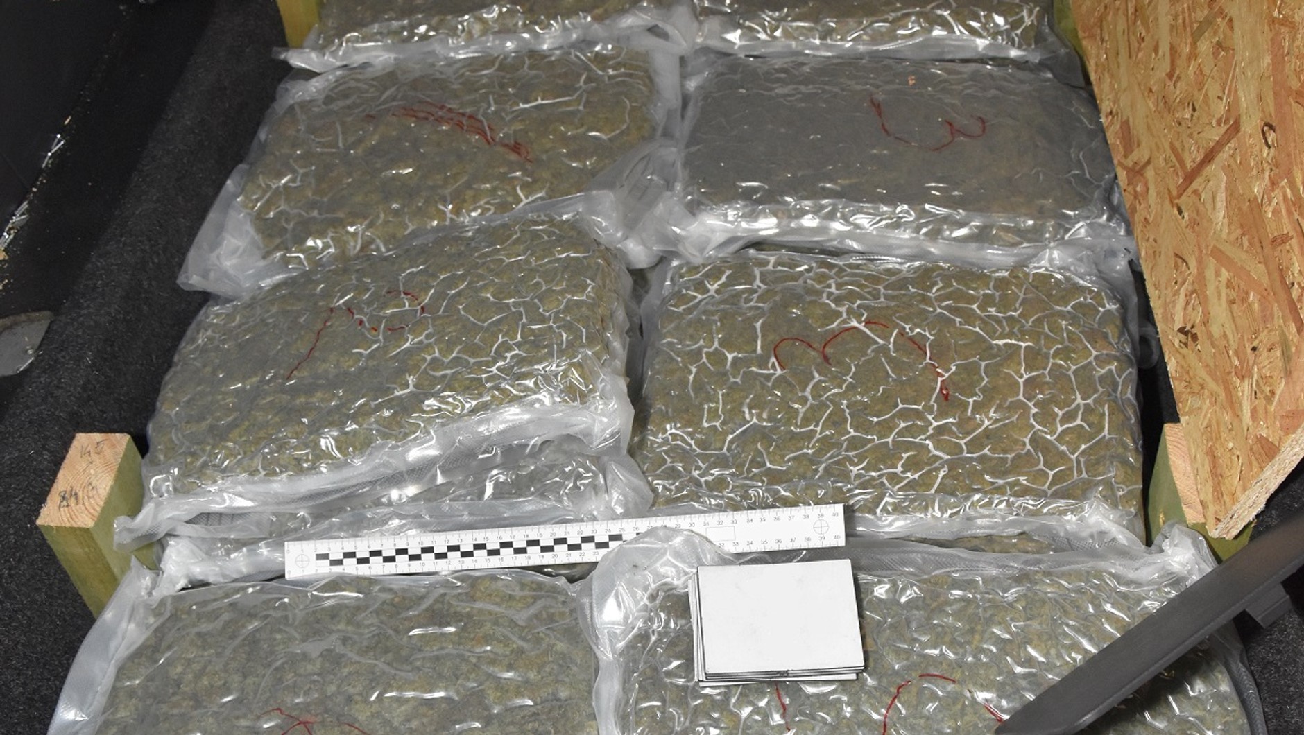 Marihuana zabezpieczona przez funkcjonariuszy NOSG