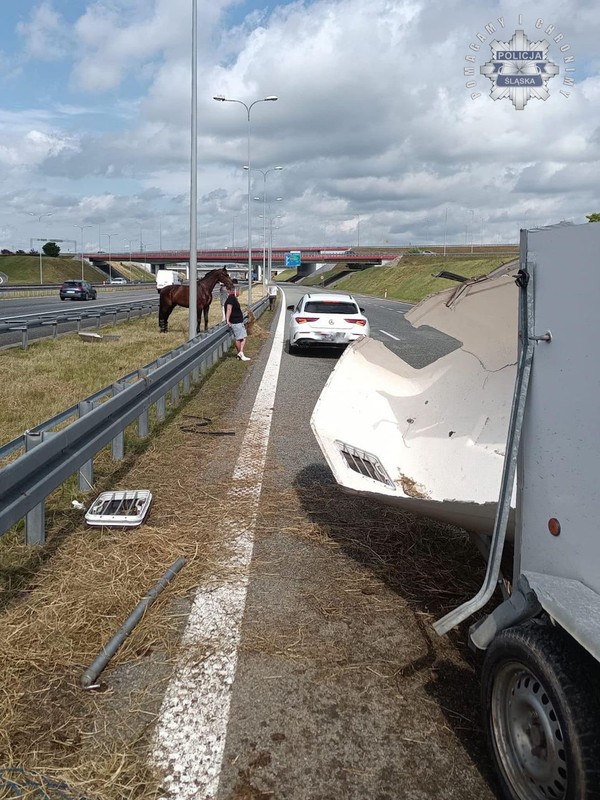 Rozbita przyczepa, koń na środku autostrady