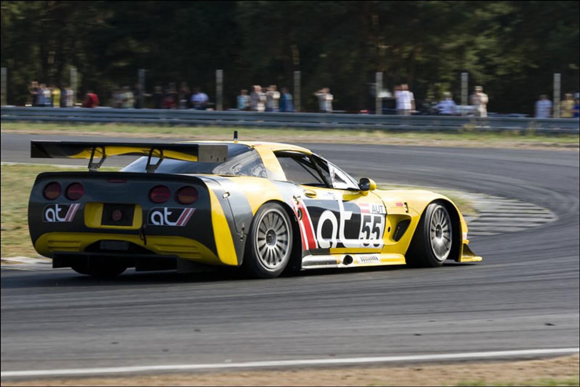 Wyścigi: nowe rekordy na torze w Poznaniu (fotogaleria)