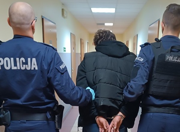 "Tylko" zatrzymywali się na MOP-ach. Decyzją sądu obcokrajowcy trafili już do aresztu