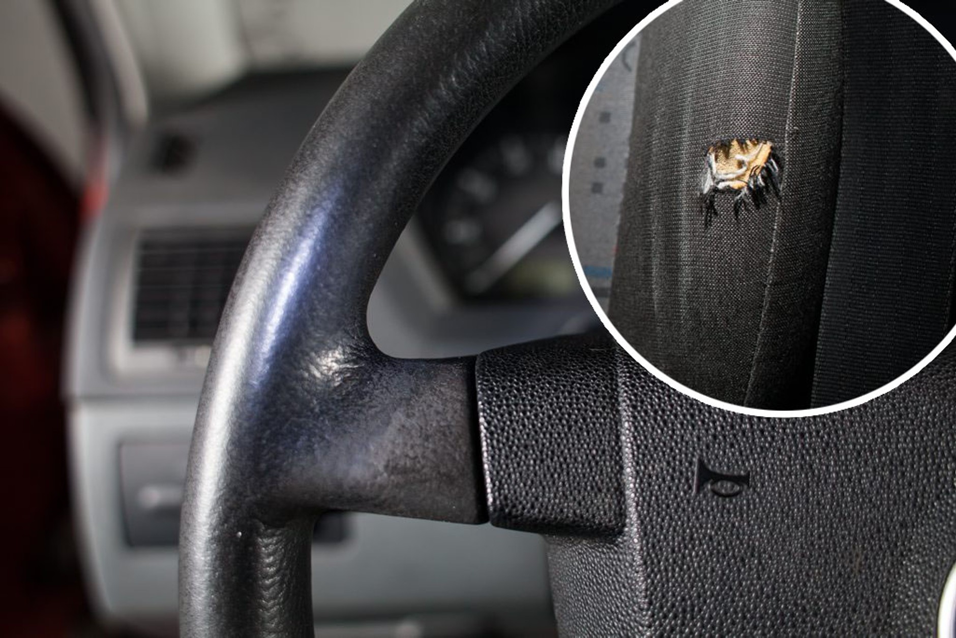 Co się psuje w Fabii?