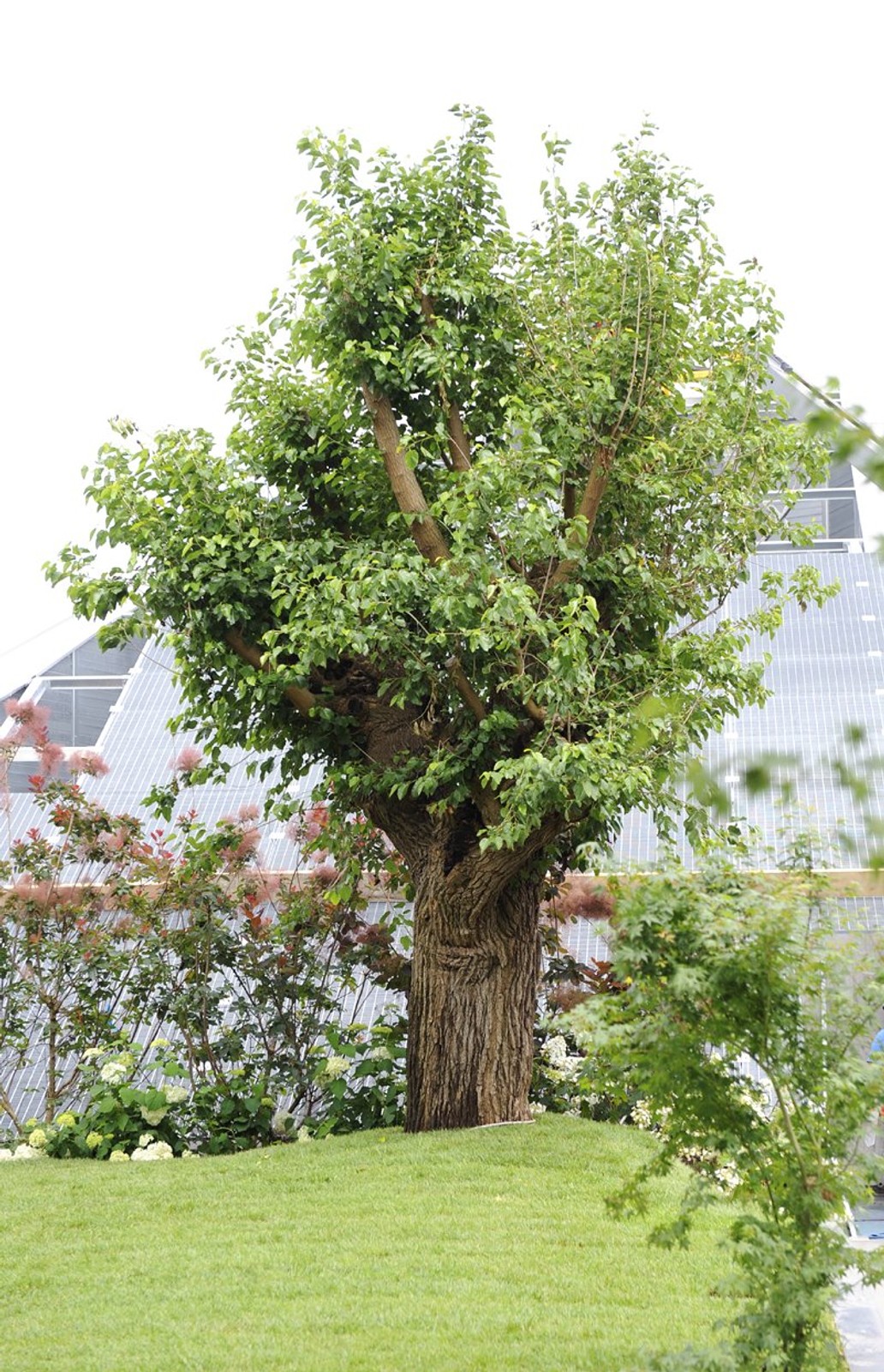 Ferrari otworzyło w Maranello nowe budynki