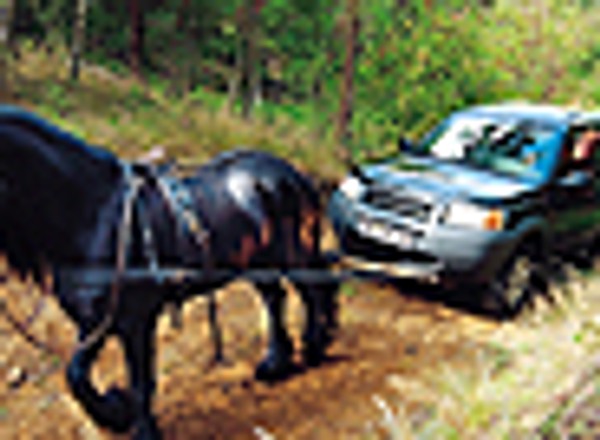 Land rover freelander - Czasem potrzebuje pomocy