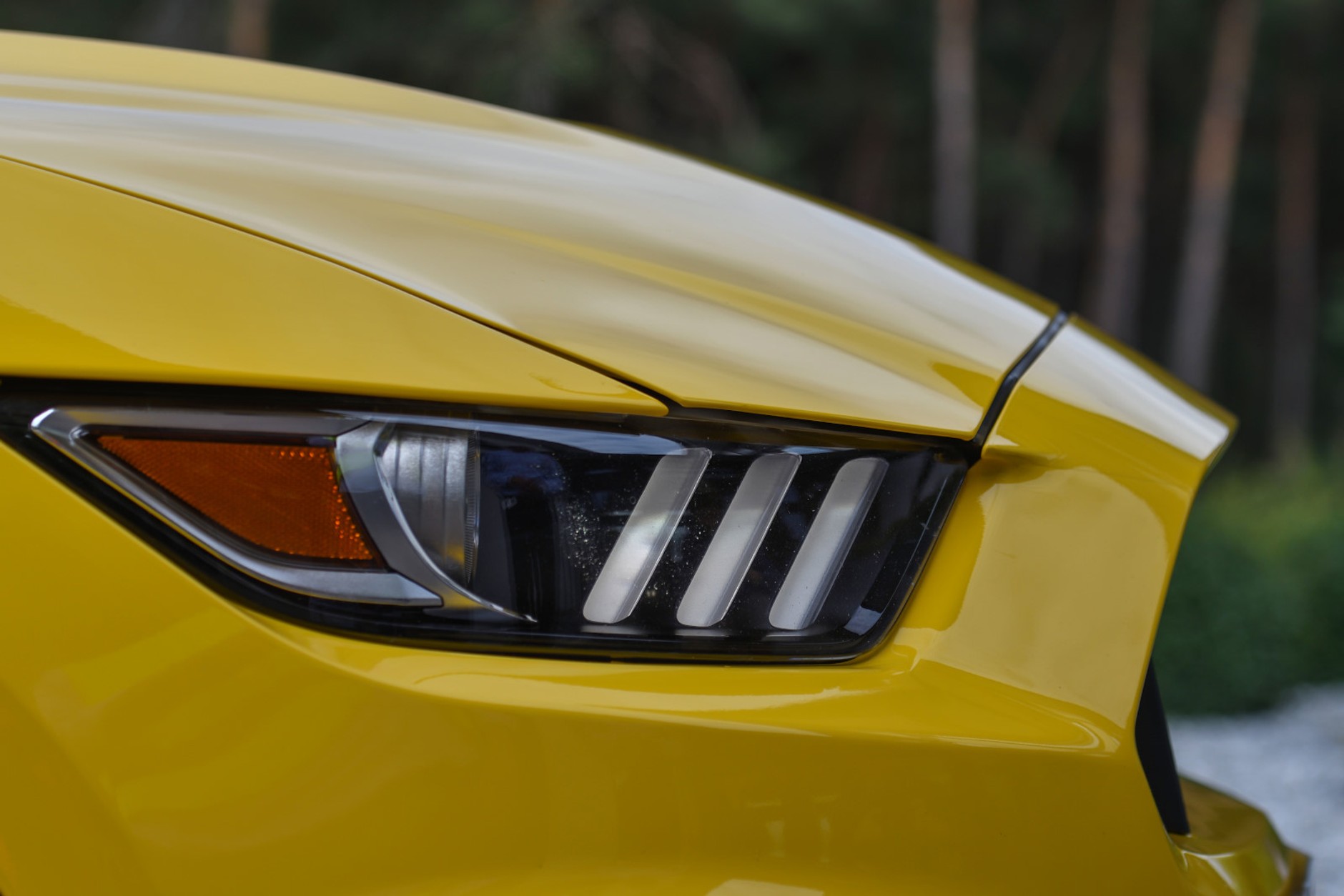 Ford Mustang Shelby GT350R