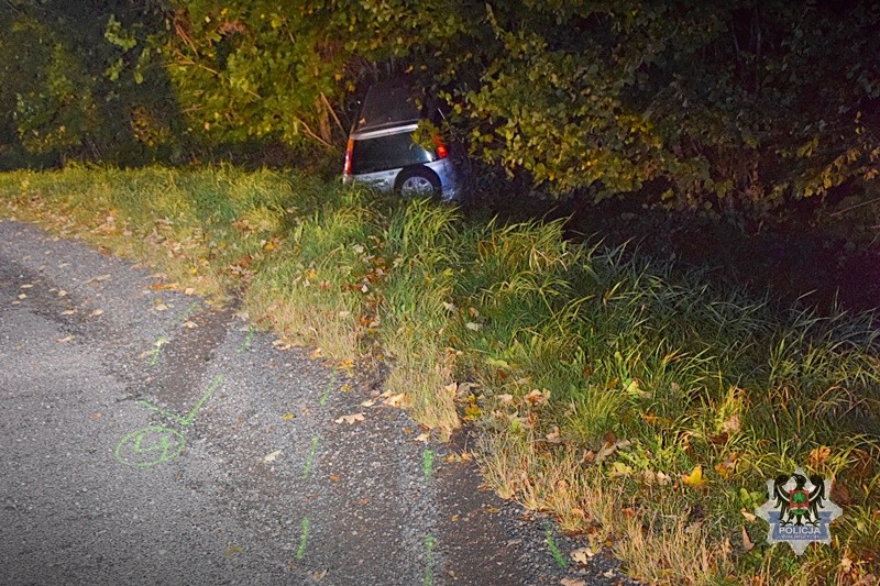 Źródło: walbrzych.policja.gov.pl/policja.pl