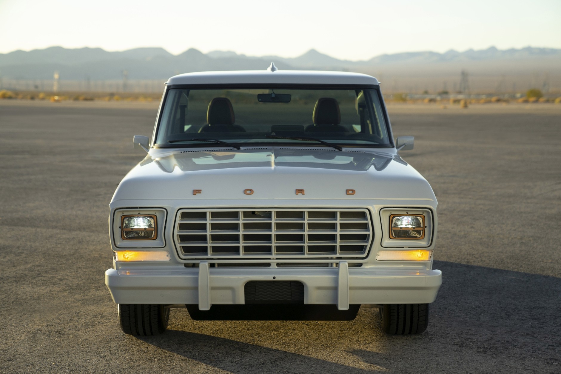 Ford F100 Eluminator