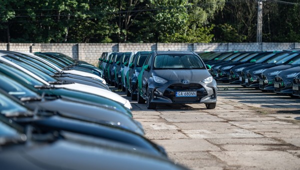 Nowe samochody na placu dilerskim Toyoty