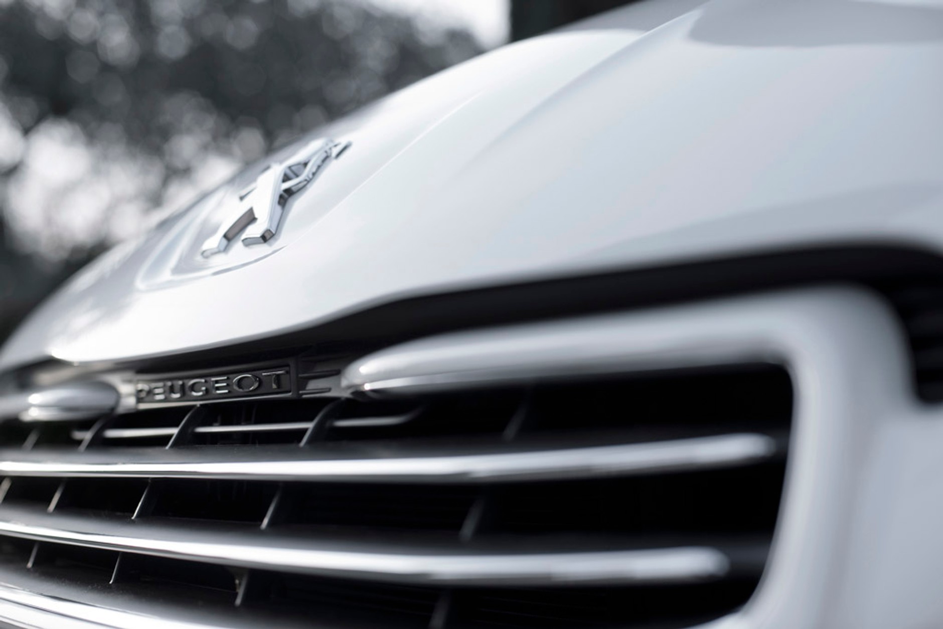 Peugeot 508 RXH: kombi na każdą drogę