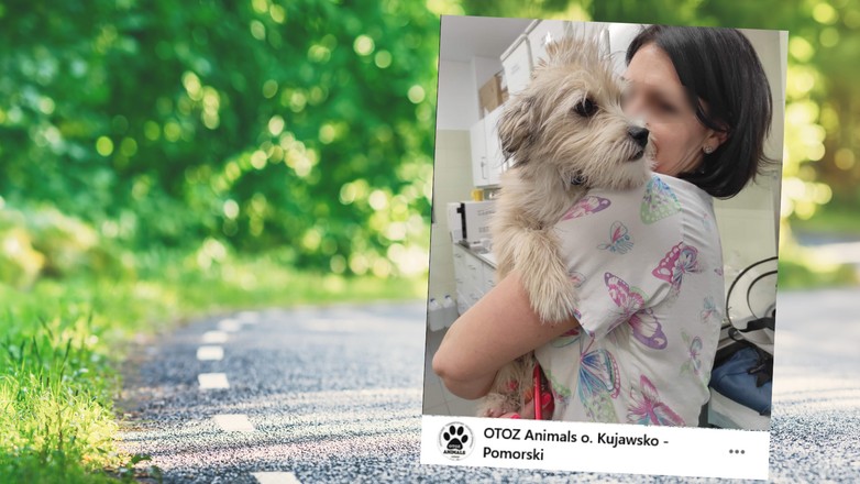 Mężczyzna został skazany (fot. screen z facebook.com/otoz.bydgoszcz)