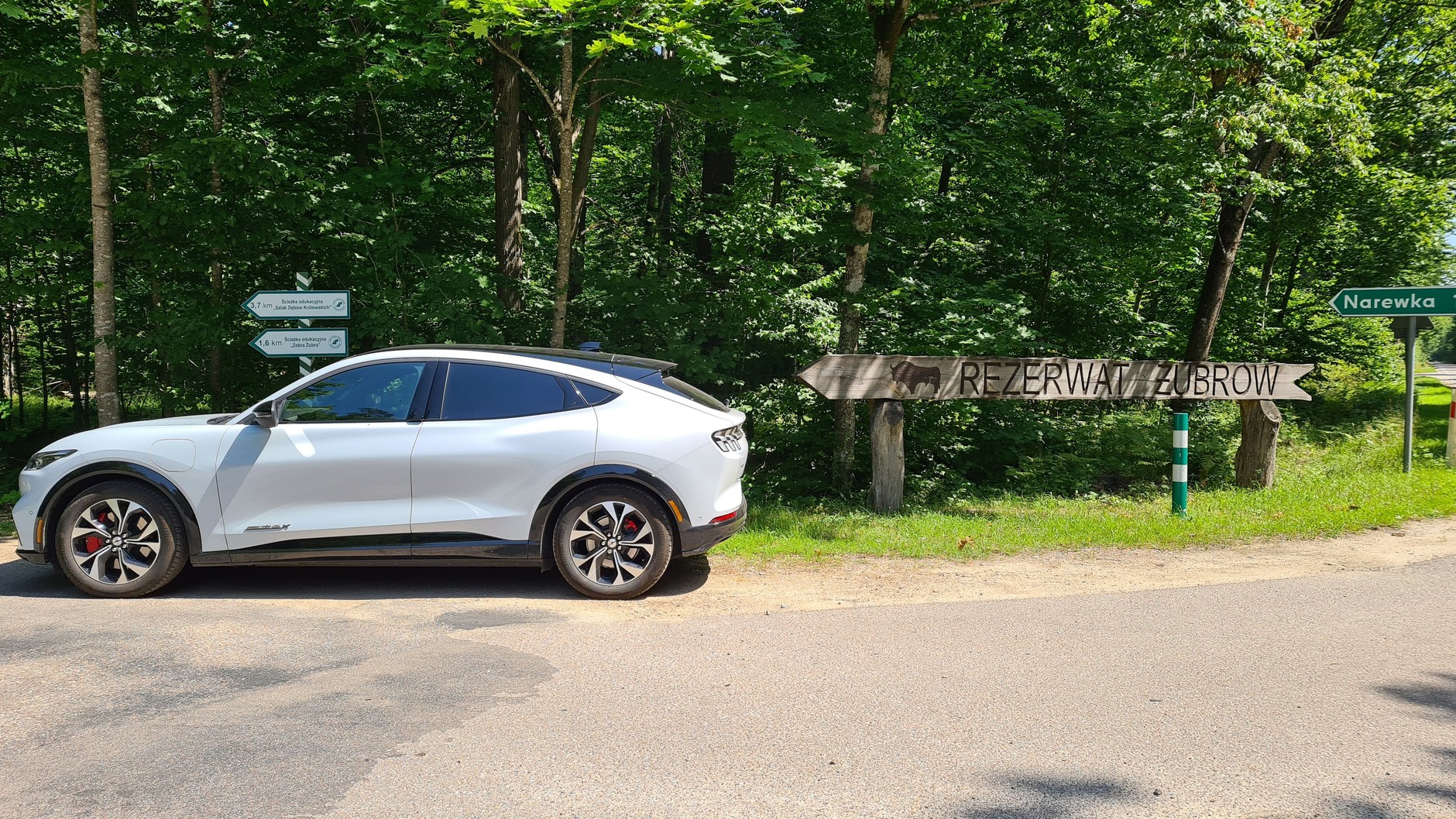 Ford Mustang Mach-E AWD 98 kWh