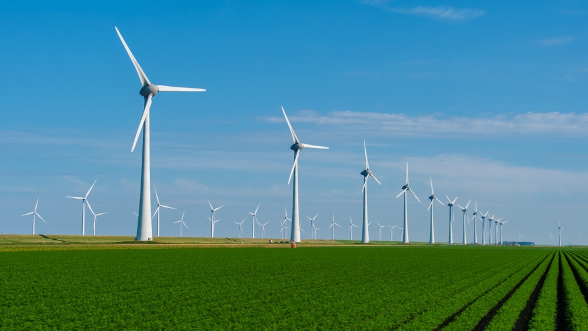 Odnawialne źródła energii to odpowiedź na wyzwania przyszłej dekady – nie na obecny kryzys.