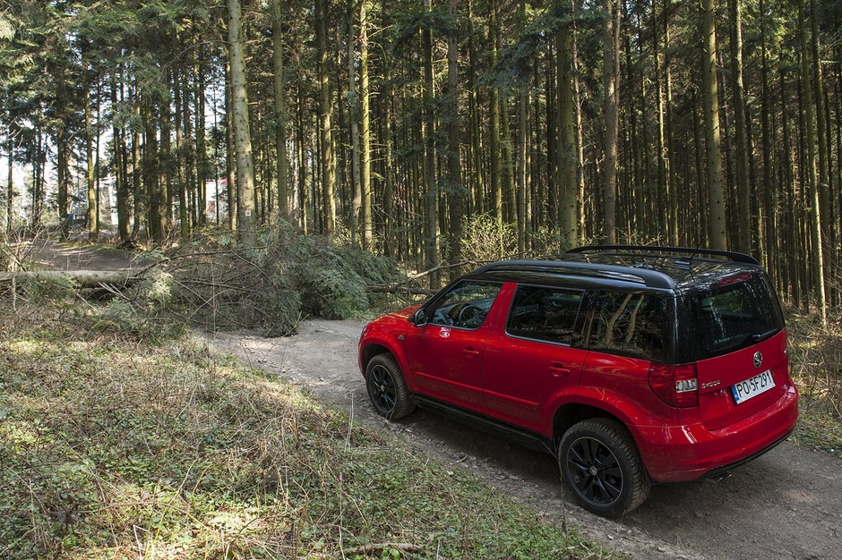 Skoda downhill