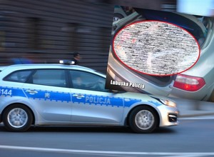 Policjantów bardziej zaskoczyła zawartość bagażnika niż ucieczka