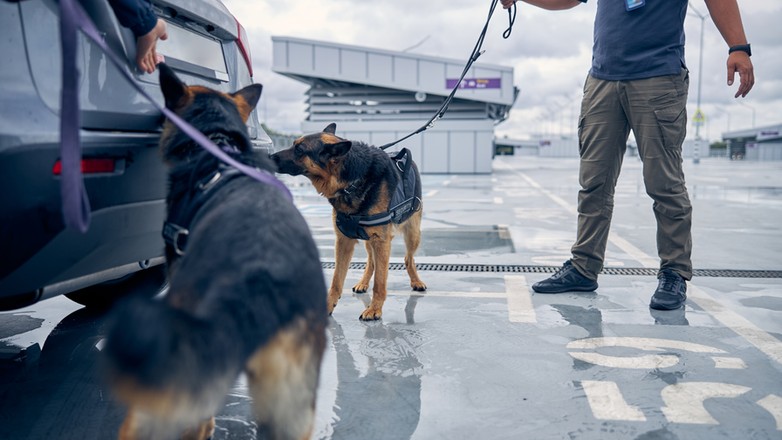 shutterstock 1797247933