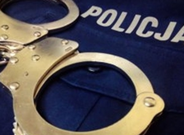 Próbował "załatwić" to z policjantami za 100 euro. Trafi przed sąd