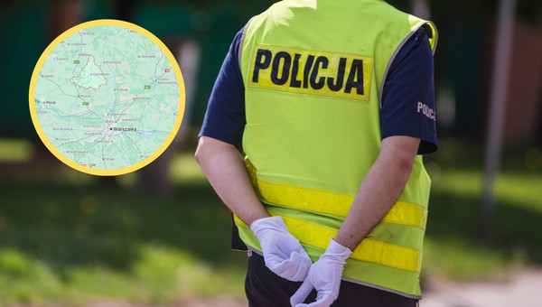 Grzybiarz złapał psa i uciekł do lasu. Tak tłumaczył się policjantom