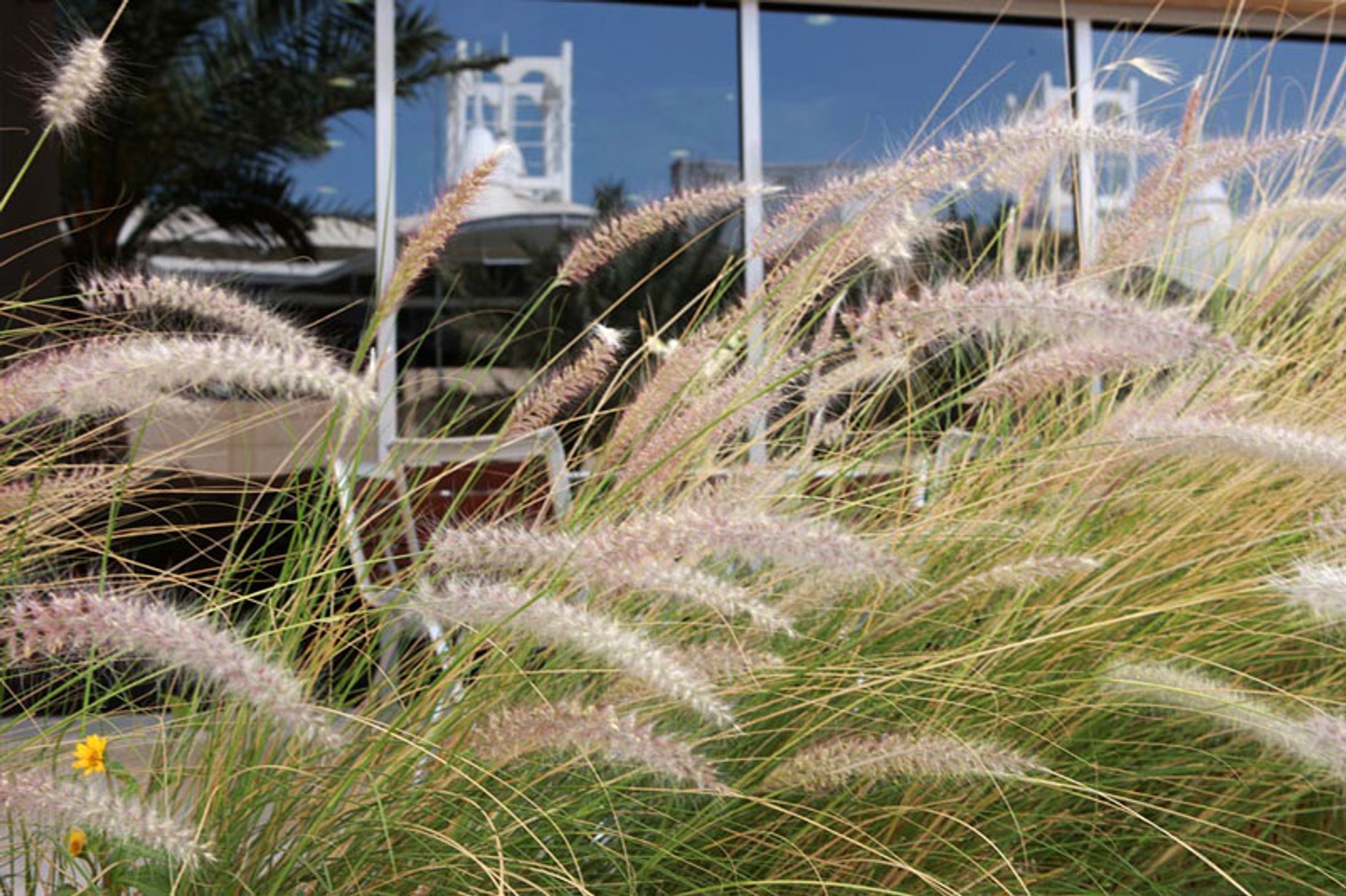 Grand Prix Bahrajnu 2008: fotogaleria Jiří Křenek