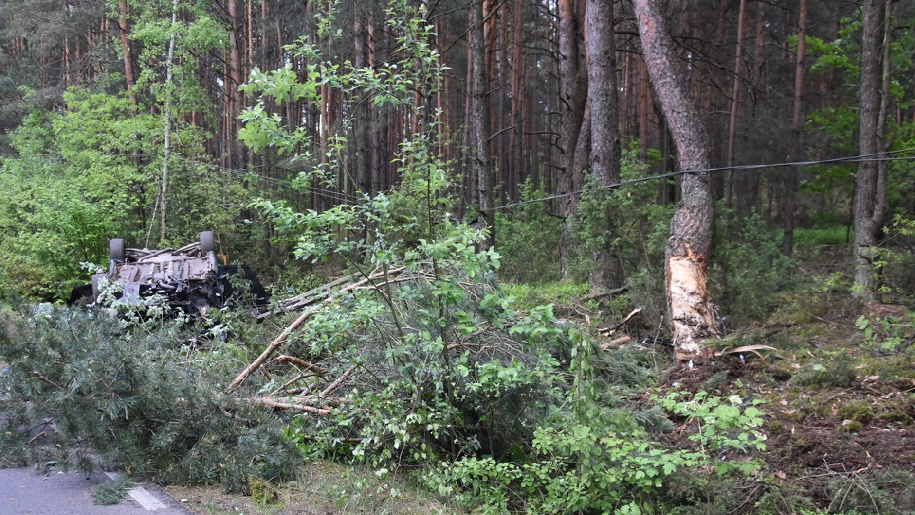 Wypadek z udziałem dzikiego zwierzęcia pod Łukowem