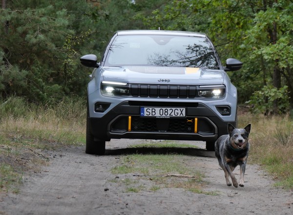 Jeep Mściciel w limitowanej wersji wygląda cudownie i nie boi się przeszkód. Ideał?