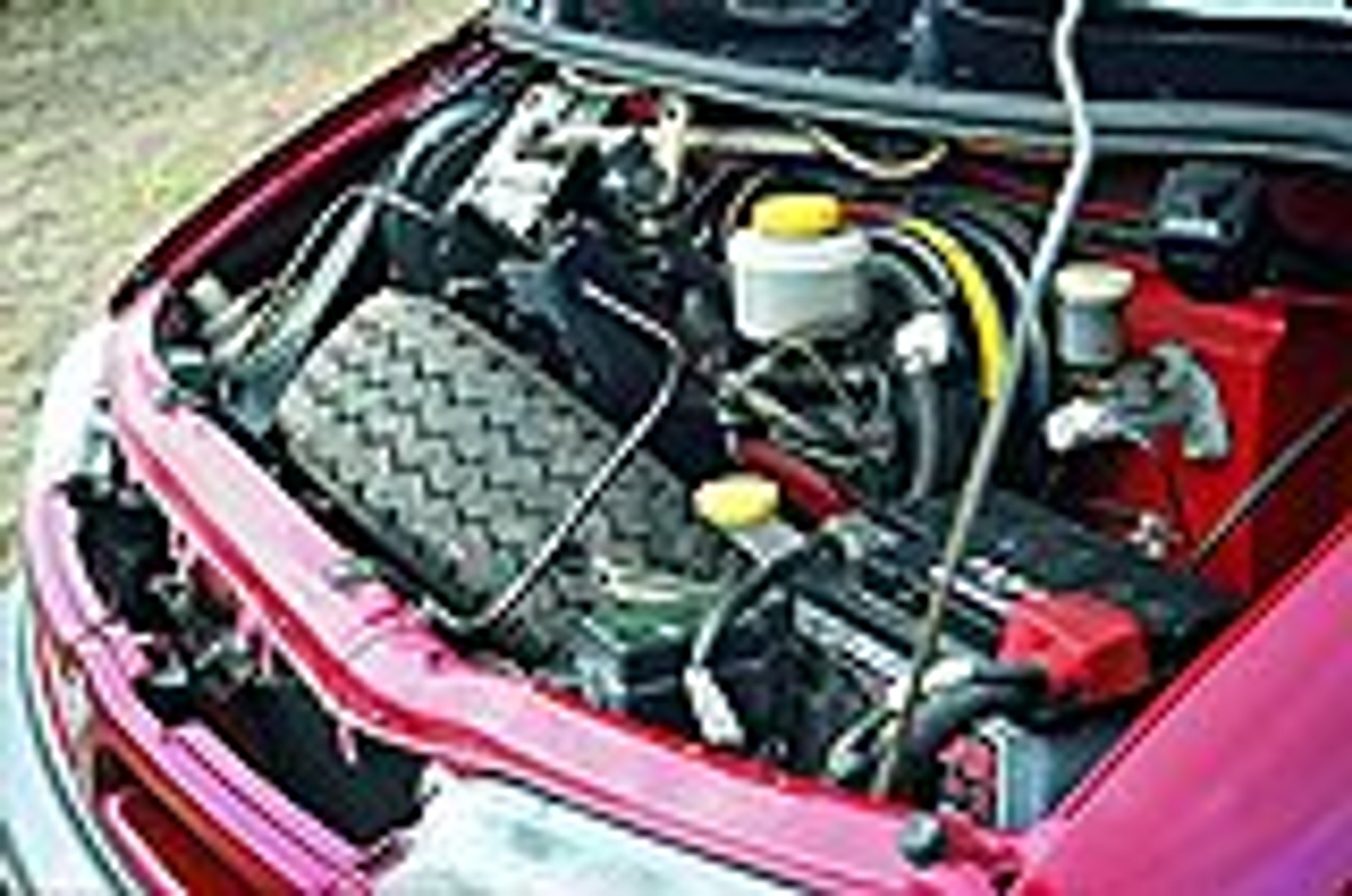 Siedem osób i pies?